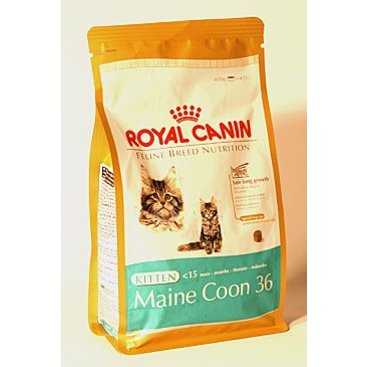 Mazlíčci - Royal canin Breed  Feline Kitten Maine Coon  400g