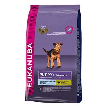 Mazlíčci - Eukanuba Dog Puppy&Junior Large 15kg