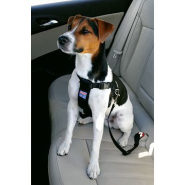 Mazlíčci - Postroj pes Bezpečnostní do auta M Zolux
