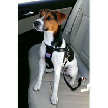 Mazlíčci - Postroj pes Bezpečnostní do auta S Zolux
