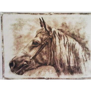 Domácnost - Bavlněný povlak na polštářek 40x40cm kůň