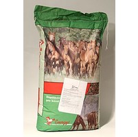Krmivo koně ENERGY´S Prolen Omega 20kg