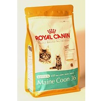 Royal canin Breed  Feline Kitten Maine Coon  400g