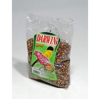 Darwin´s kanár special 500g